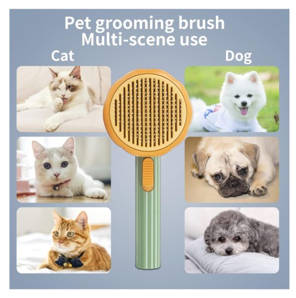 Peine Removedor Pelo Gato Redondo